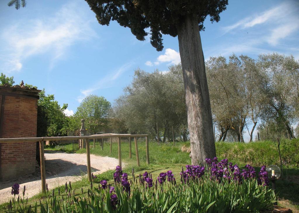 Agriturismo La Torretta Costalpino المظهر الخارجي الصورة