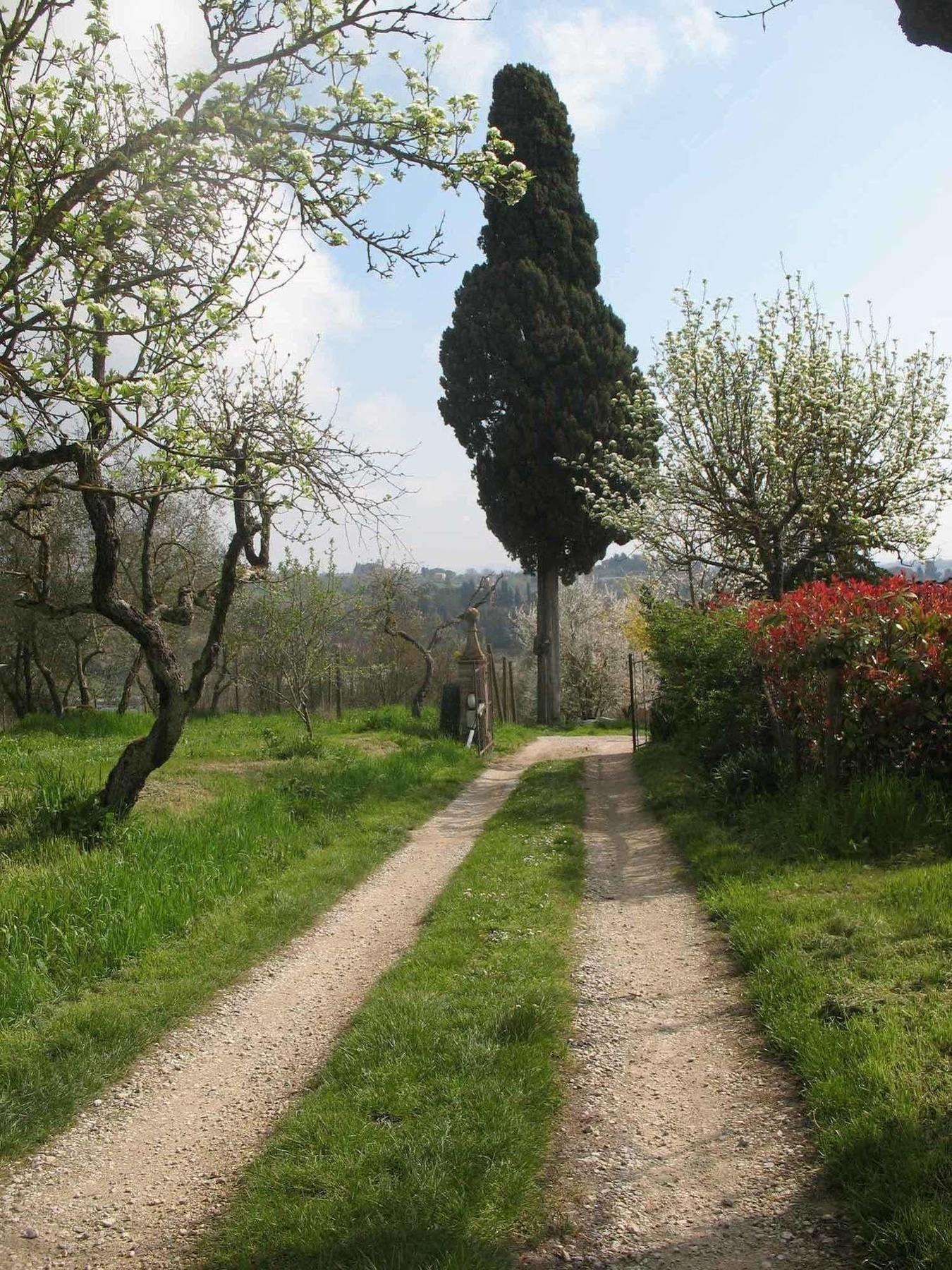 Agriturismo La Torretta Costalpino المظهر الخارجي الصورة