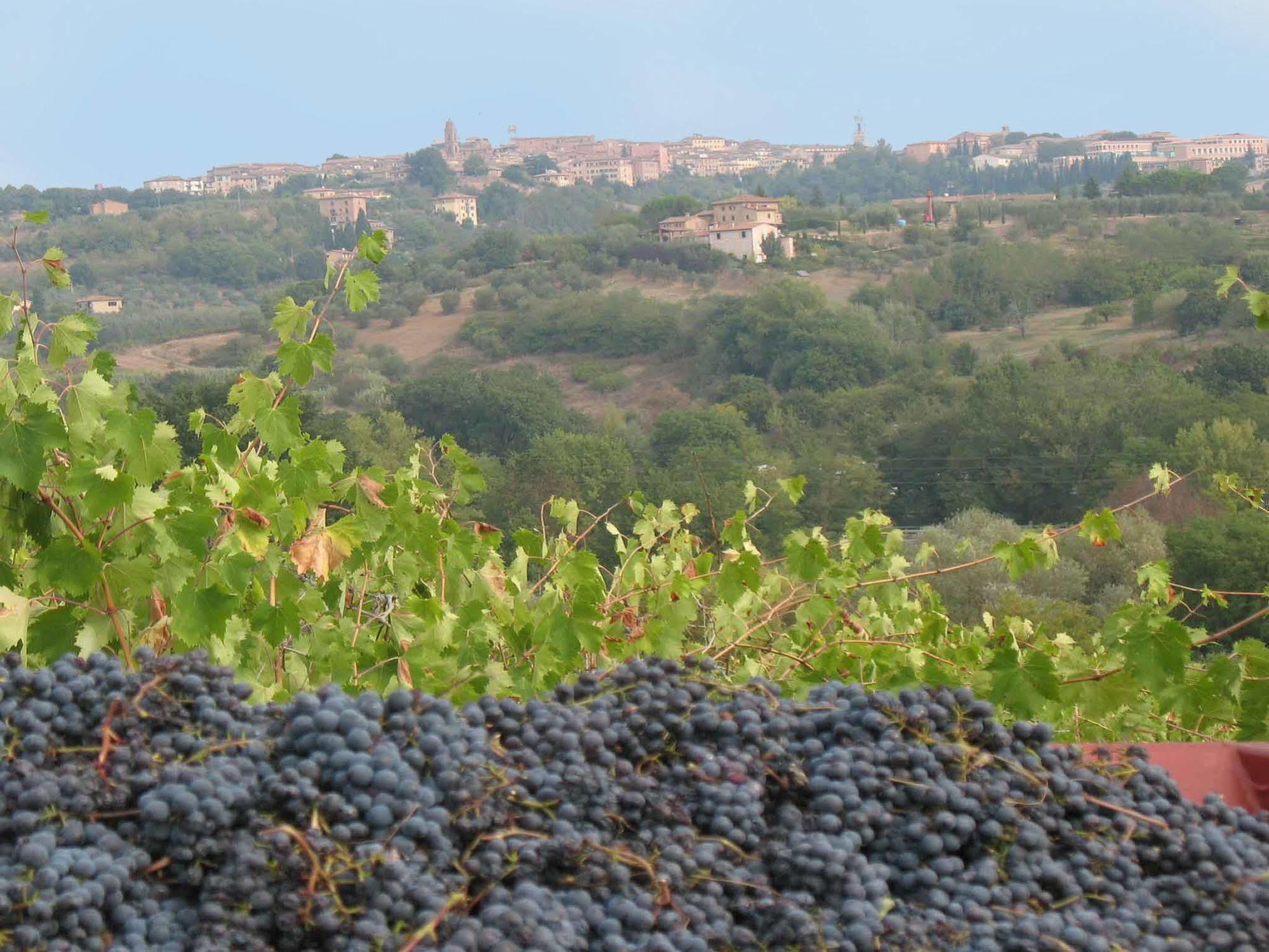 Agriturismo La Torretta Costalpino المظهر الخارجي الصورة