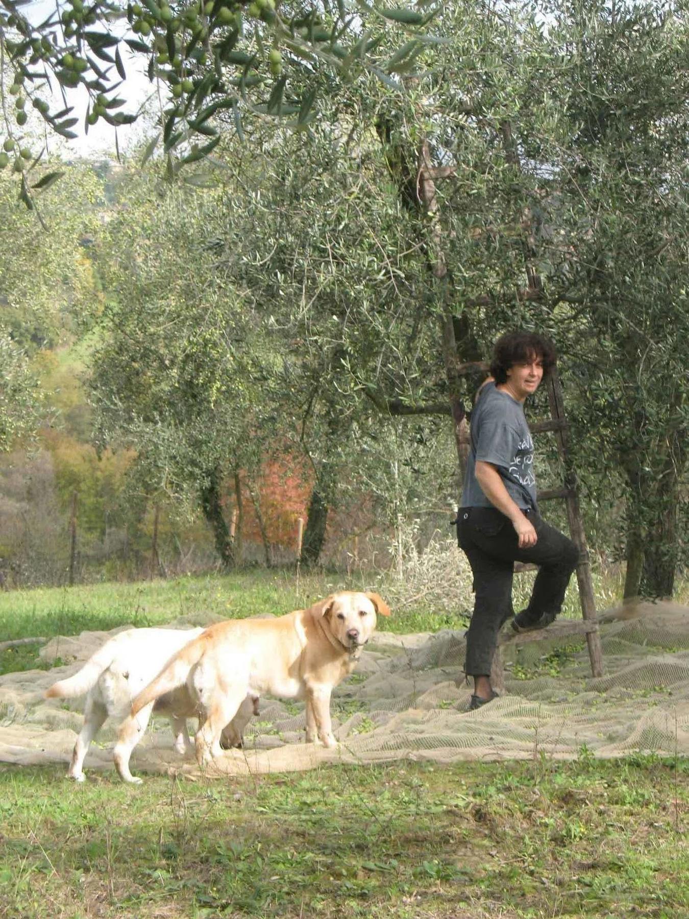 Agriturismo La Torretta Costalpino المظهر الخارجي الصورة