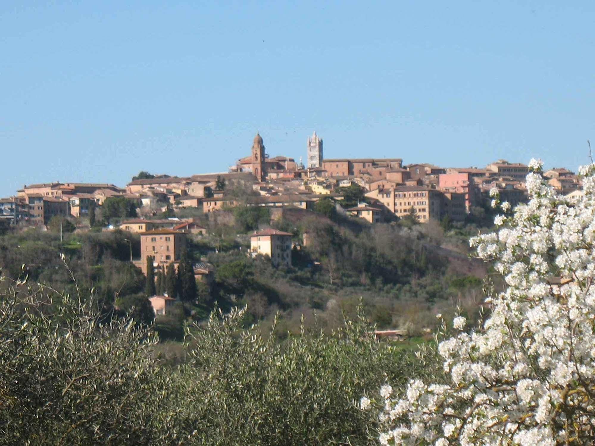 Agriturismo La Torretta Costalpino المظهر الخارجي الصورة