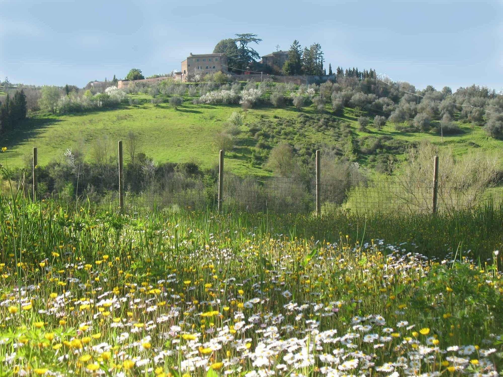 Agriturismo La Torretta Costalpino المظهر الخارجي الصورة